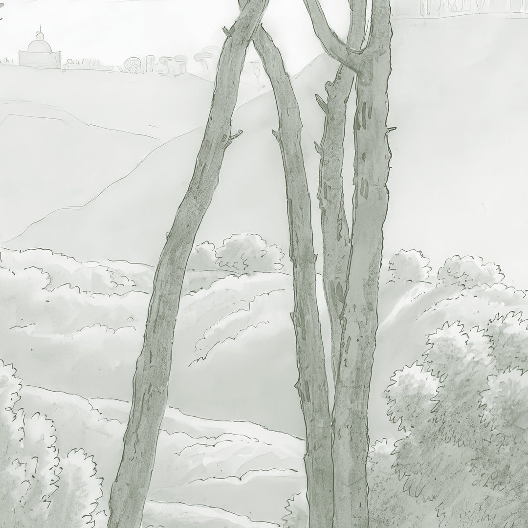 Umbrella Pines Study - Silver Sage