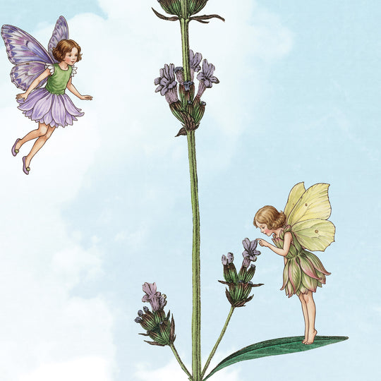 Vintage Fairy Garden