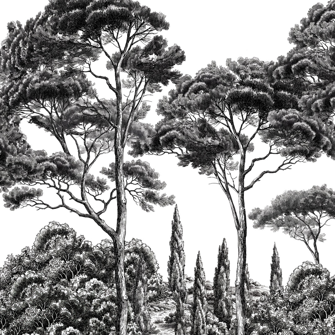 Eldermere - Black