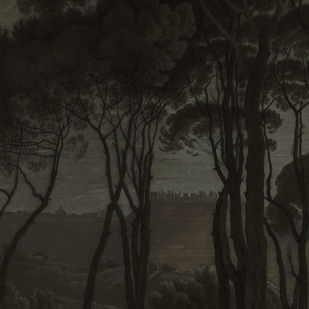 Umbrella Pines Study - Shadow Silk