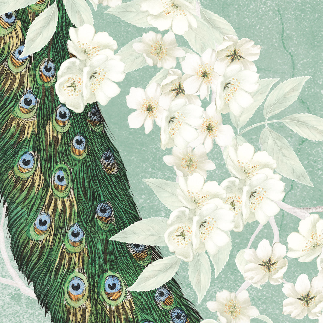 A Pride of Peacocks - Sage