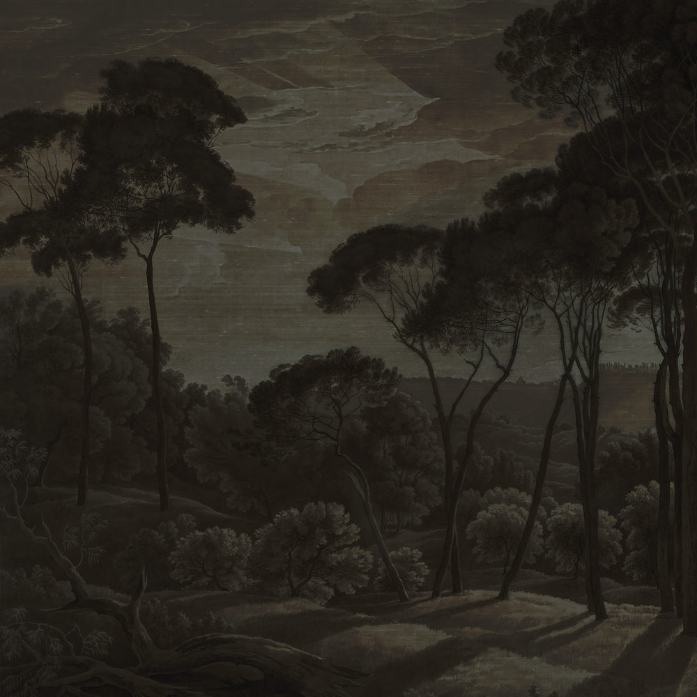 Umbrella Pines Study - Shadow Silk