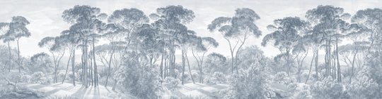 Umbrella Pines Study - Slate