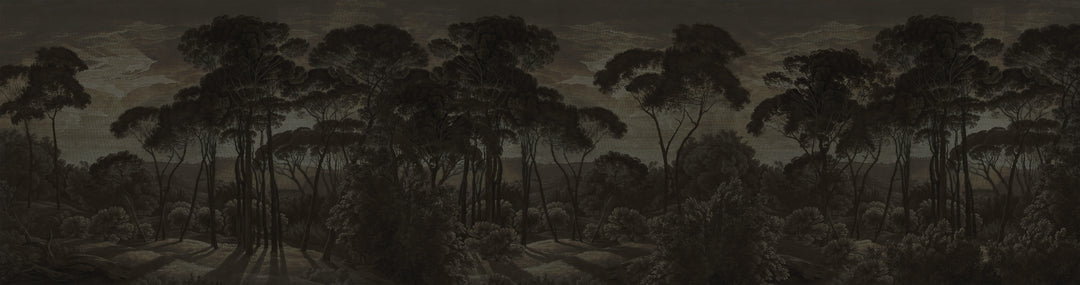 Umbrella Pines Study - Shadow Silk