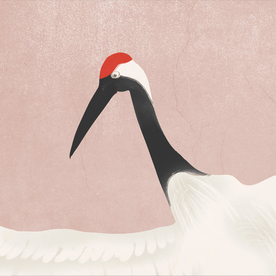 Red Crowned Cranes on Blush