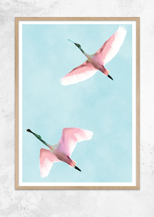 Two Flying Flamingos