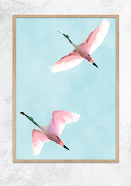 Two Flying Flamingos