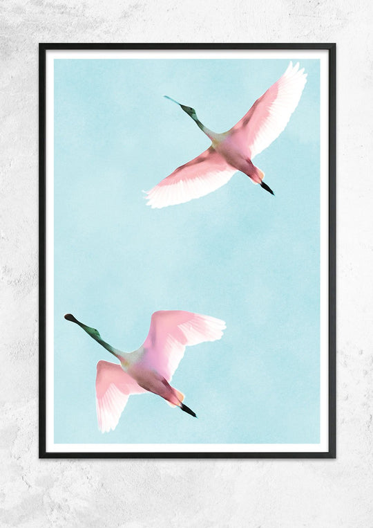 Two Flying Flamingos