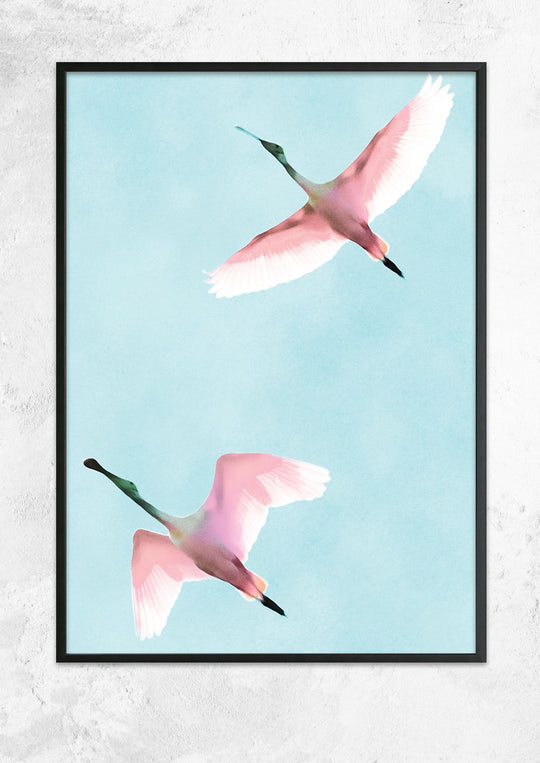 Two Flying Flamingos