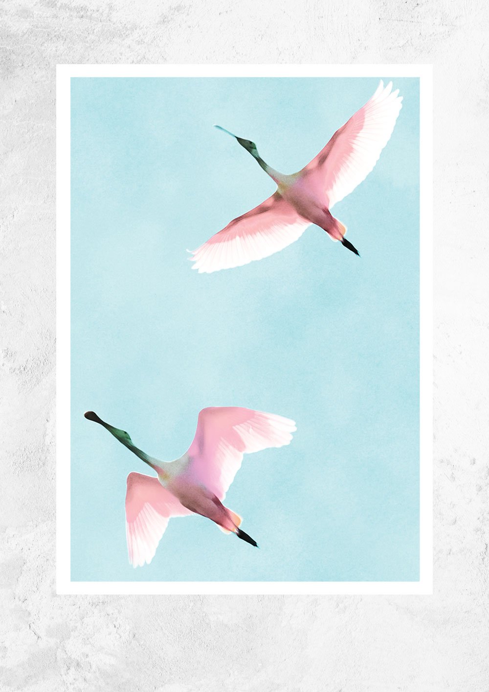 Two Flying Flamingos