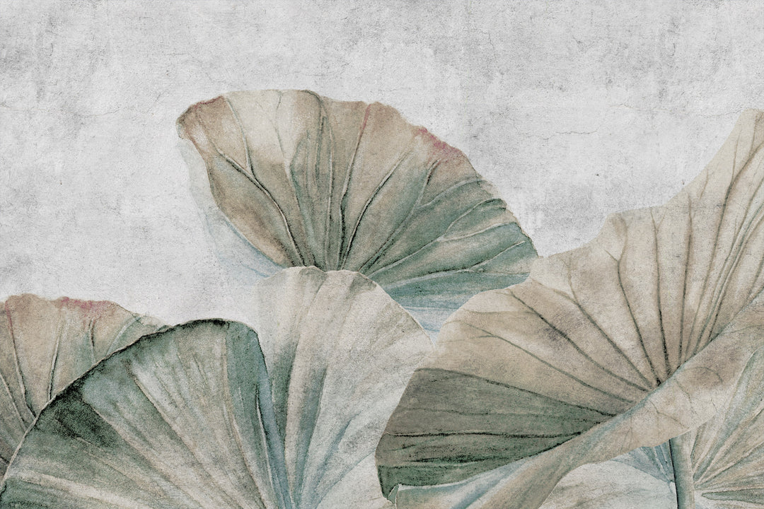 Lotus Leaves II