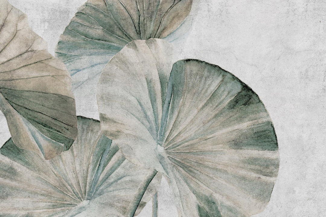 Lotus Leaves II