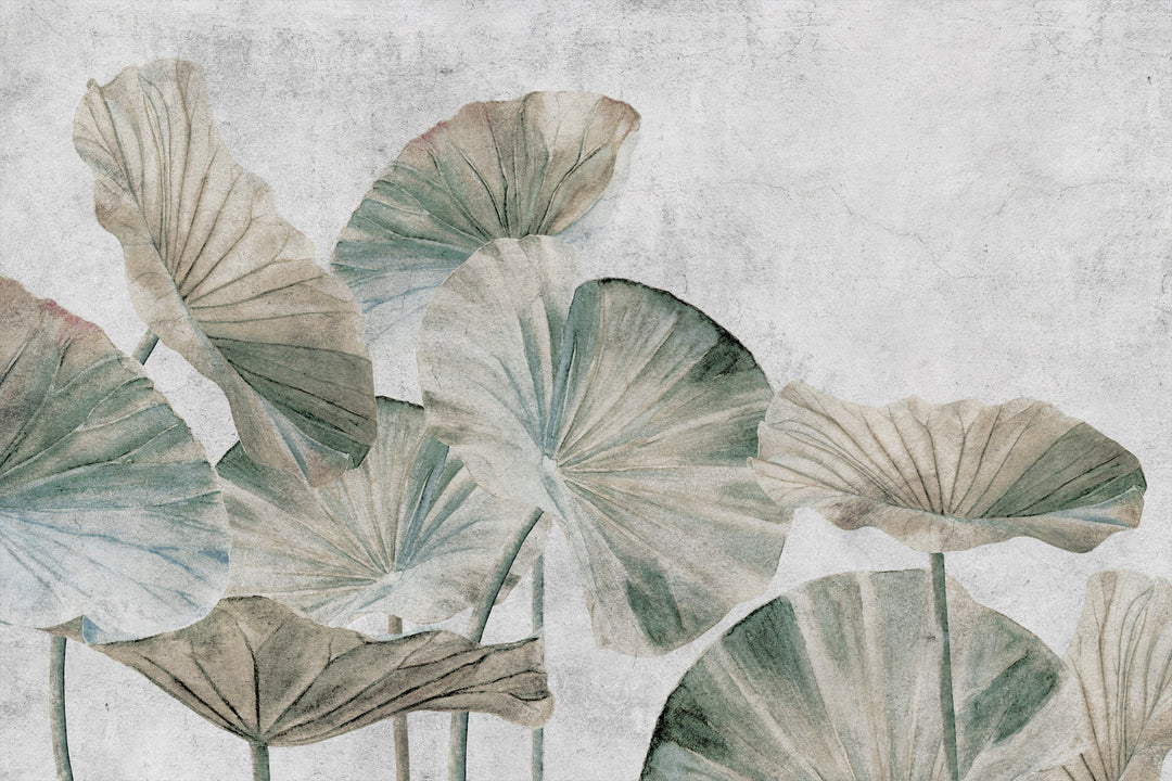 Lotus Leaves II