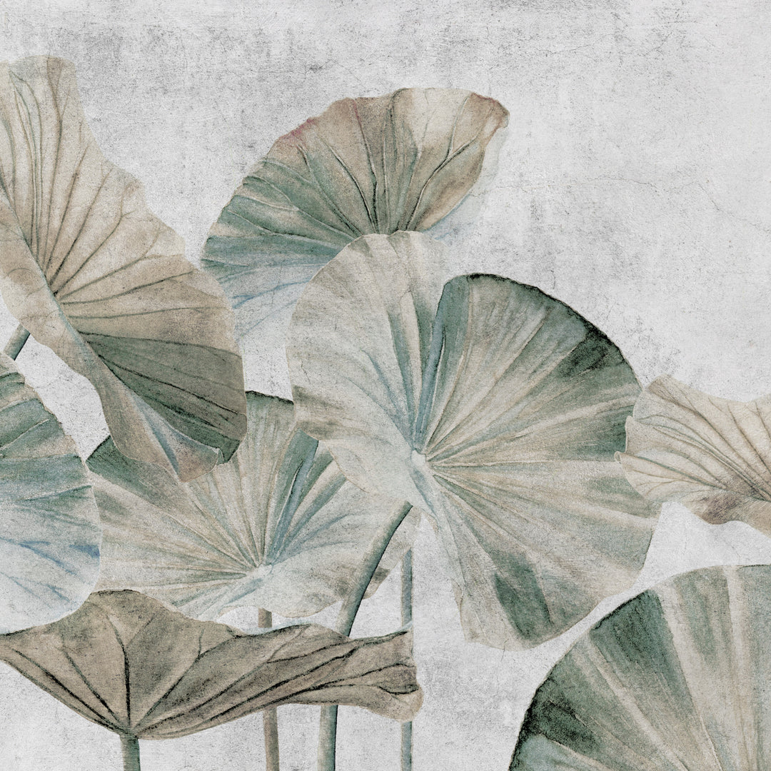 Lotus Leaves II