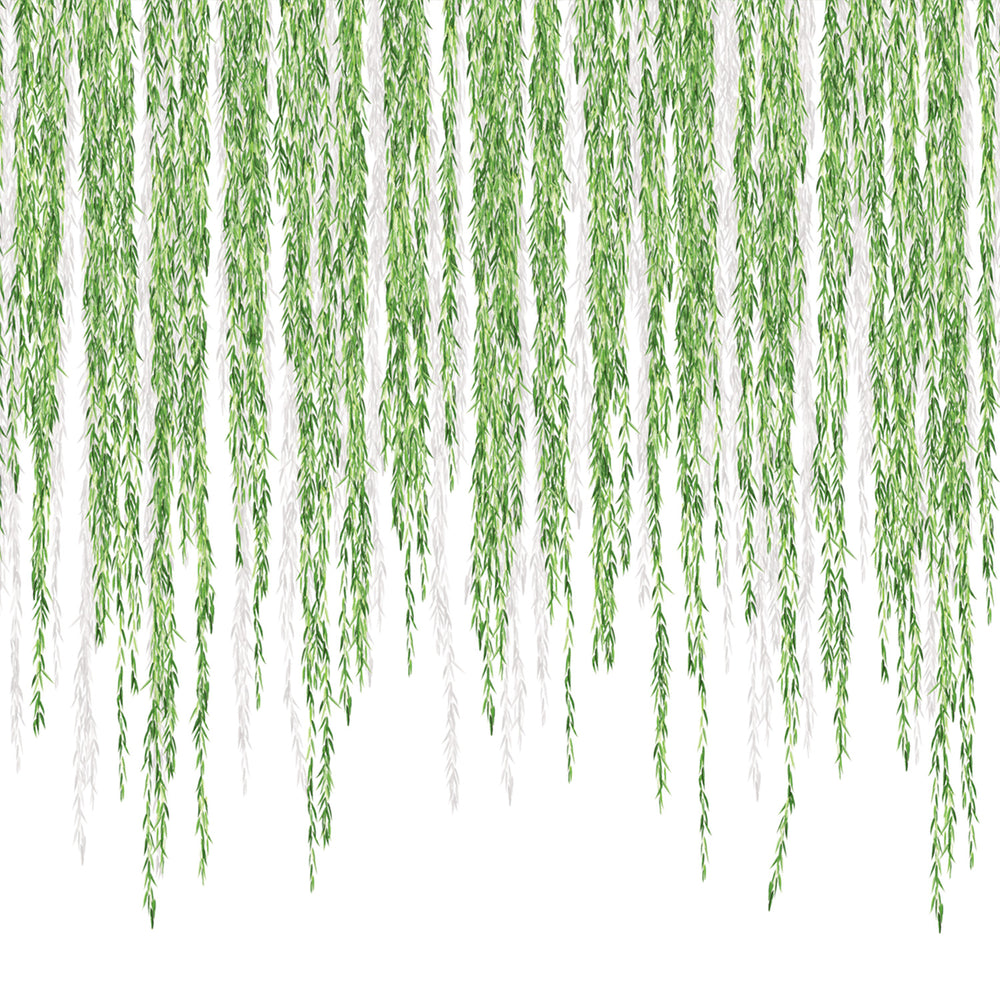 Weeping Willow