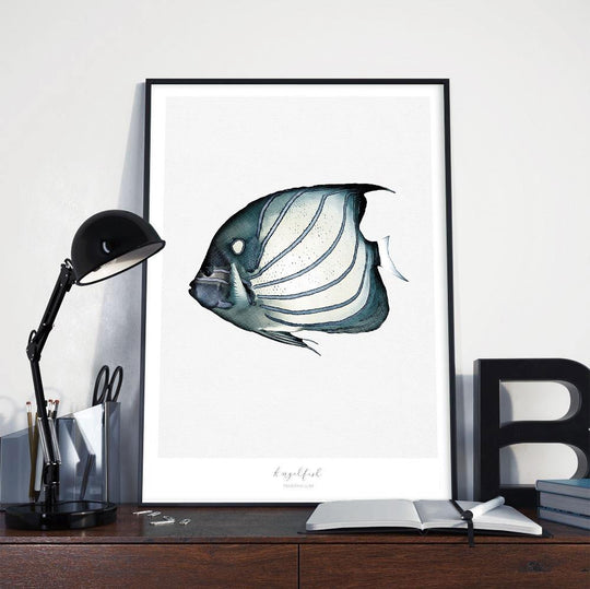 Marine Life Series - Angelfish