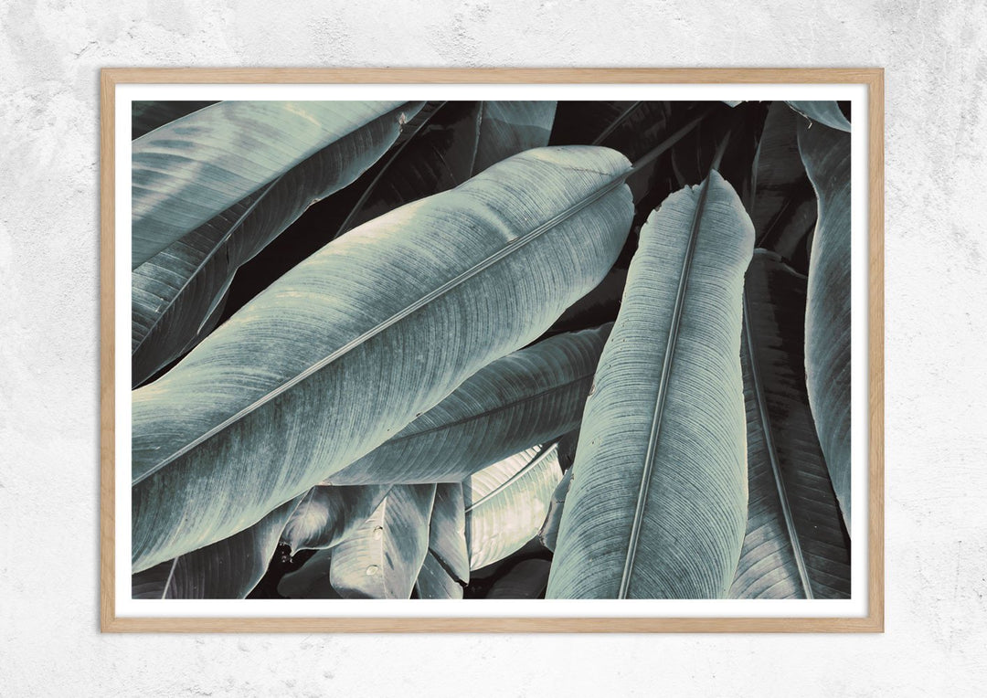 Banana Leaves Study No III