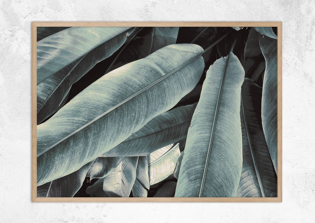 Banana Leaves Study No III