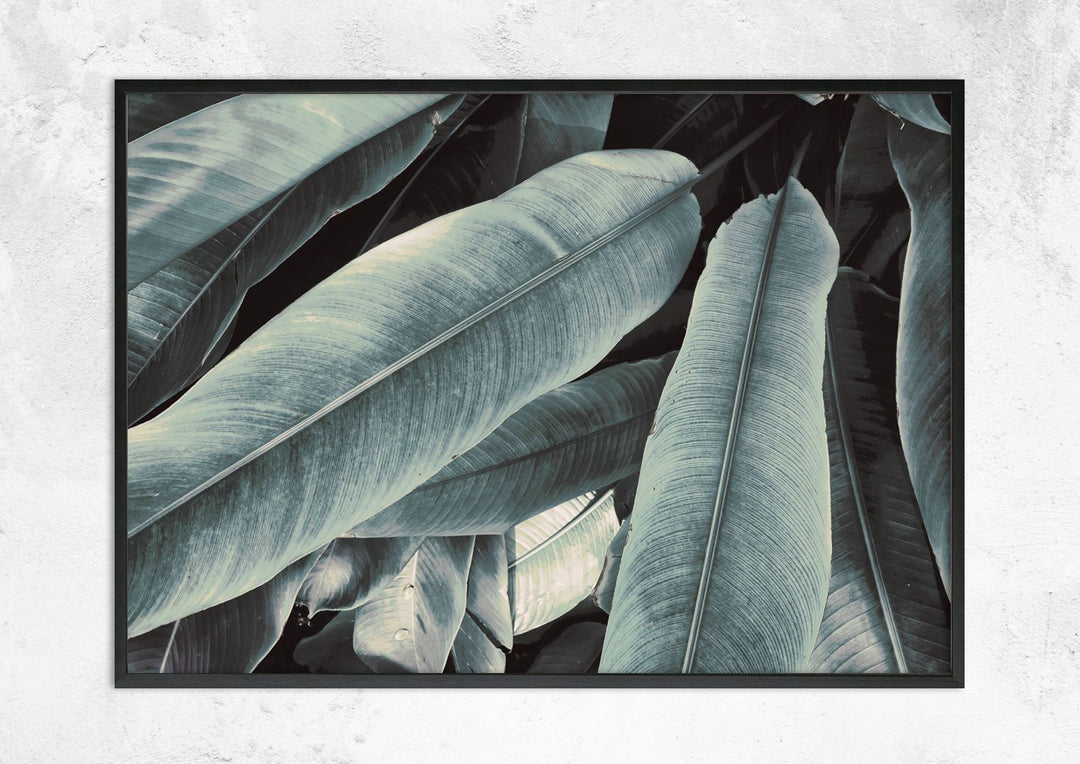 Banana Leaves Study No III