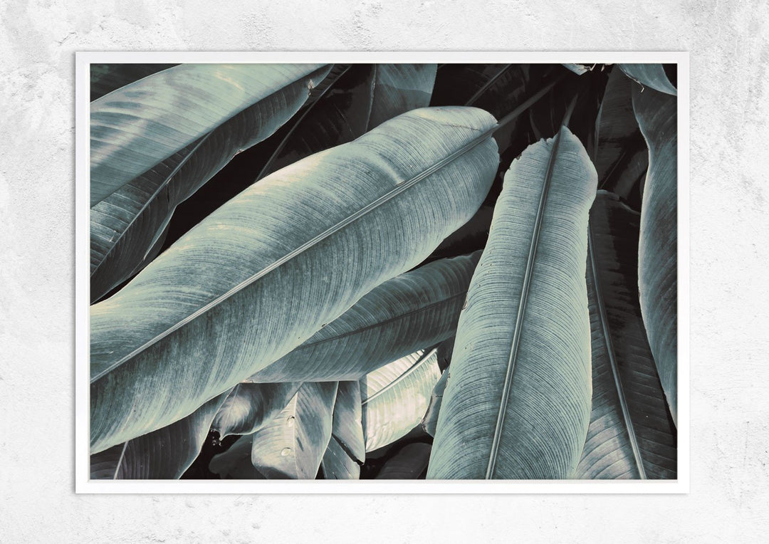 Banana Leaves Study No III