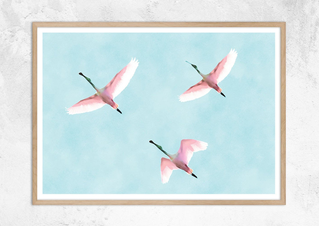 Flying Flamingos