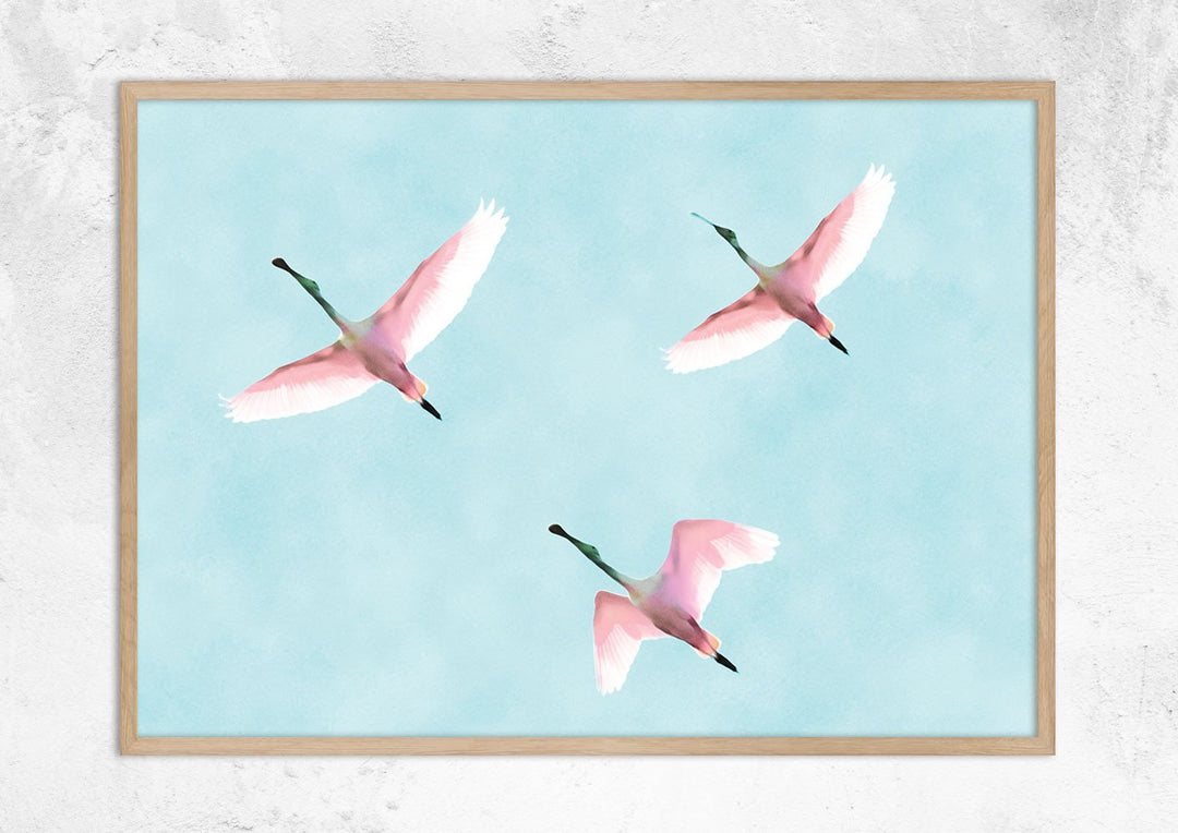 Flying Flamingos