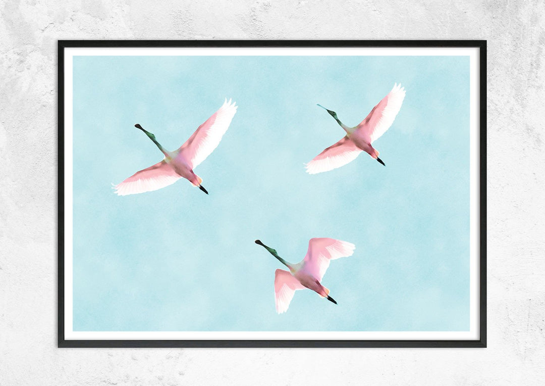 Flying Flamingos