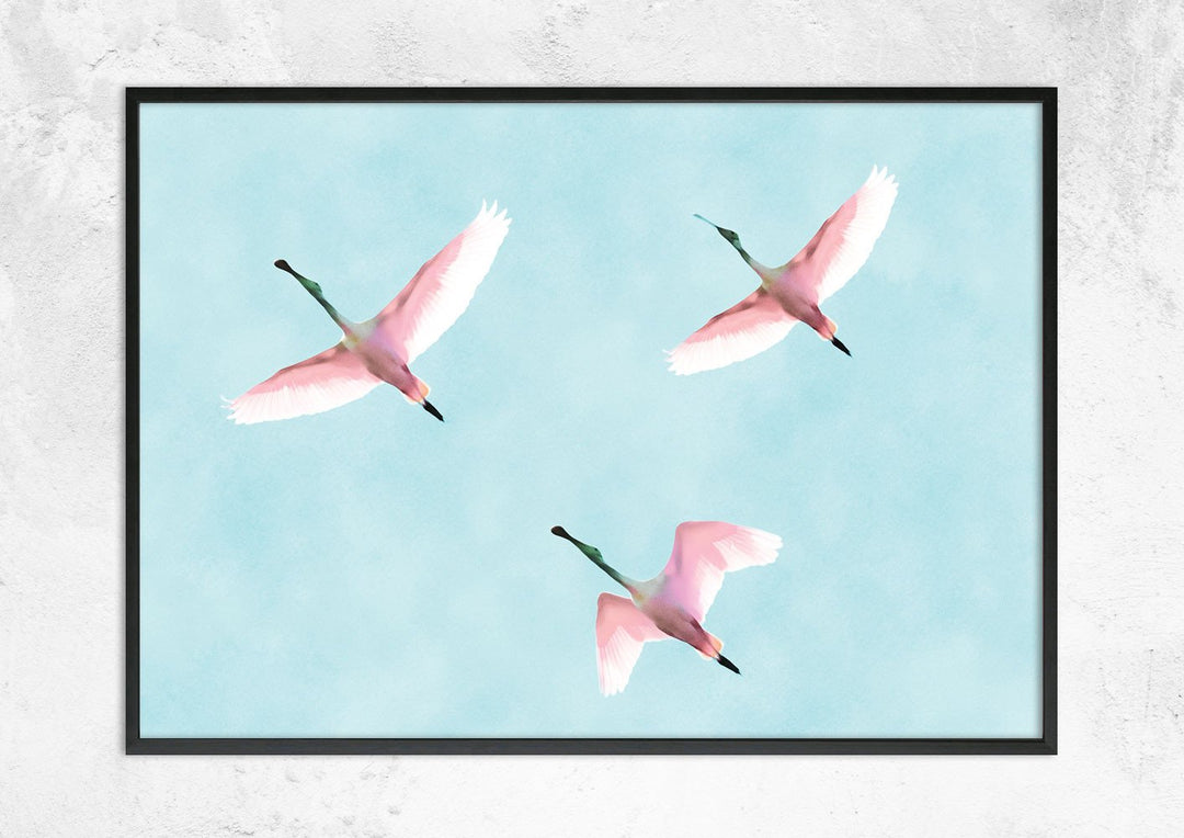 Flying Flamingos