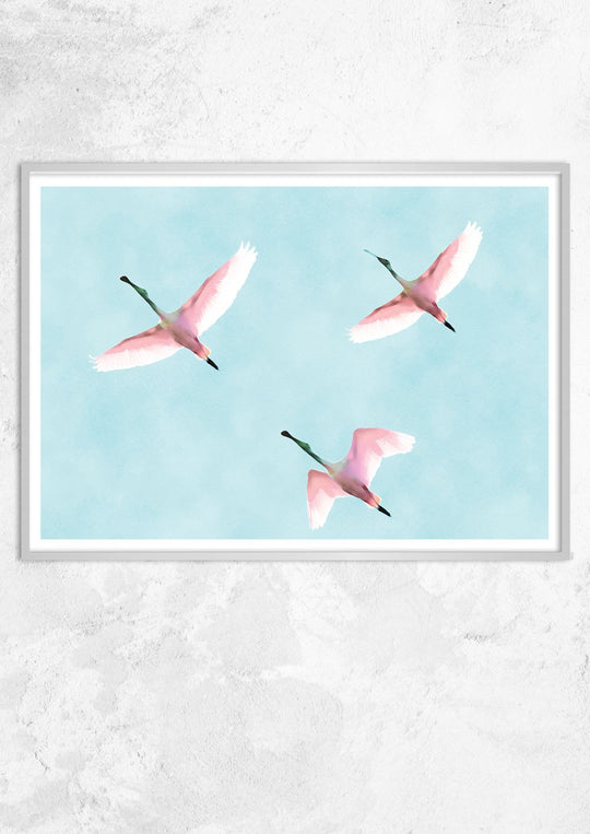 Flying Flamingos