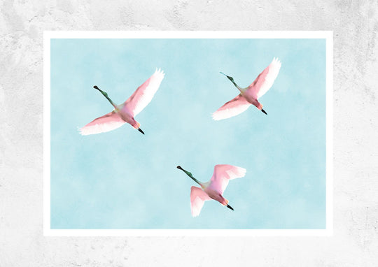 Flying Flamingos