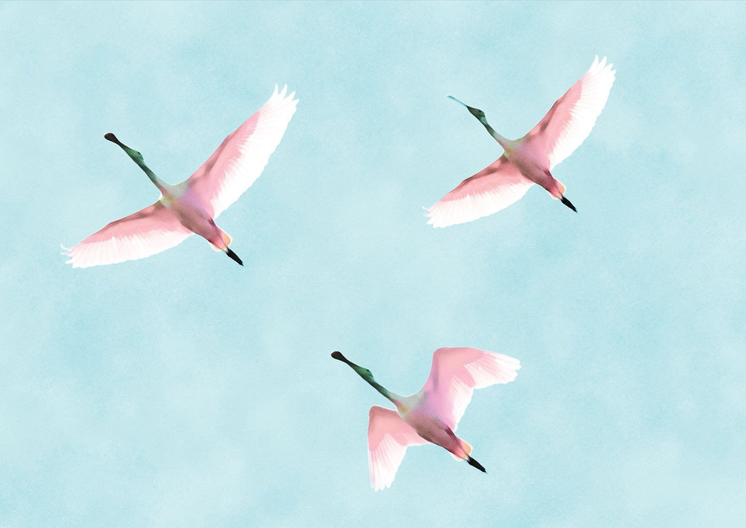 Flying Flamingos