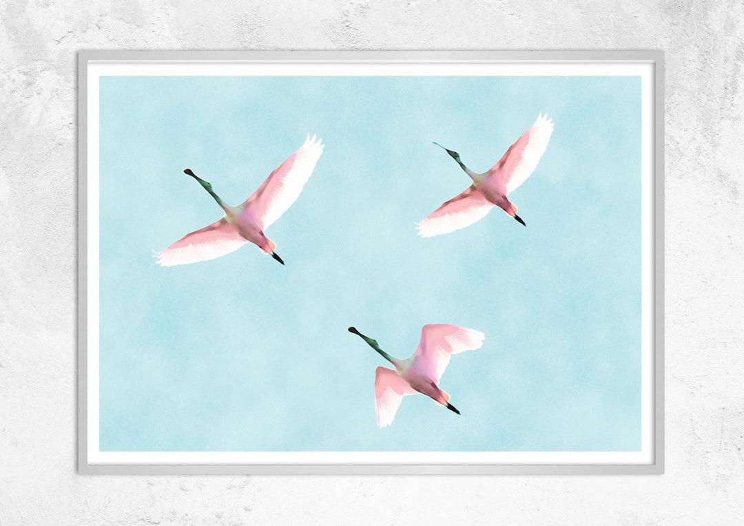 Flying Flamingos