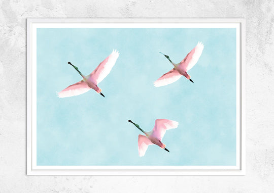 Flying Flamingos