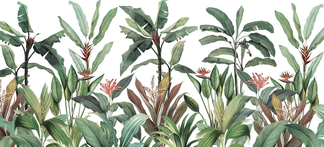 Tropical Garden - Spring