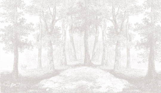 The Woods