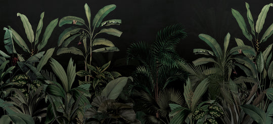 Midnight Garden