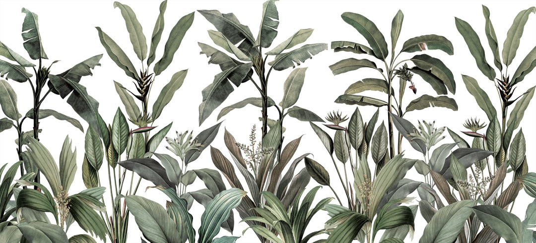Tropical Garden - Winter