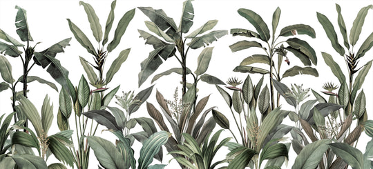 Tropical Garden - Winter
