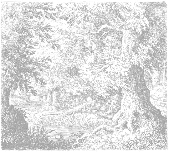 Forest Stream - Light