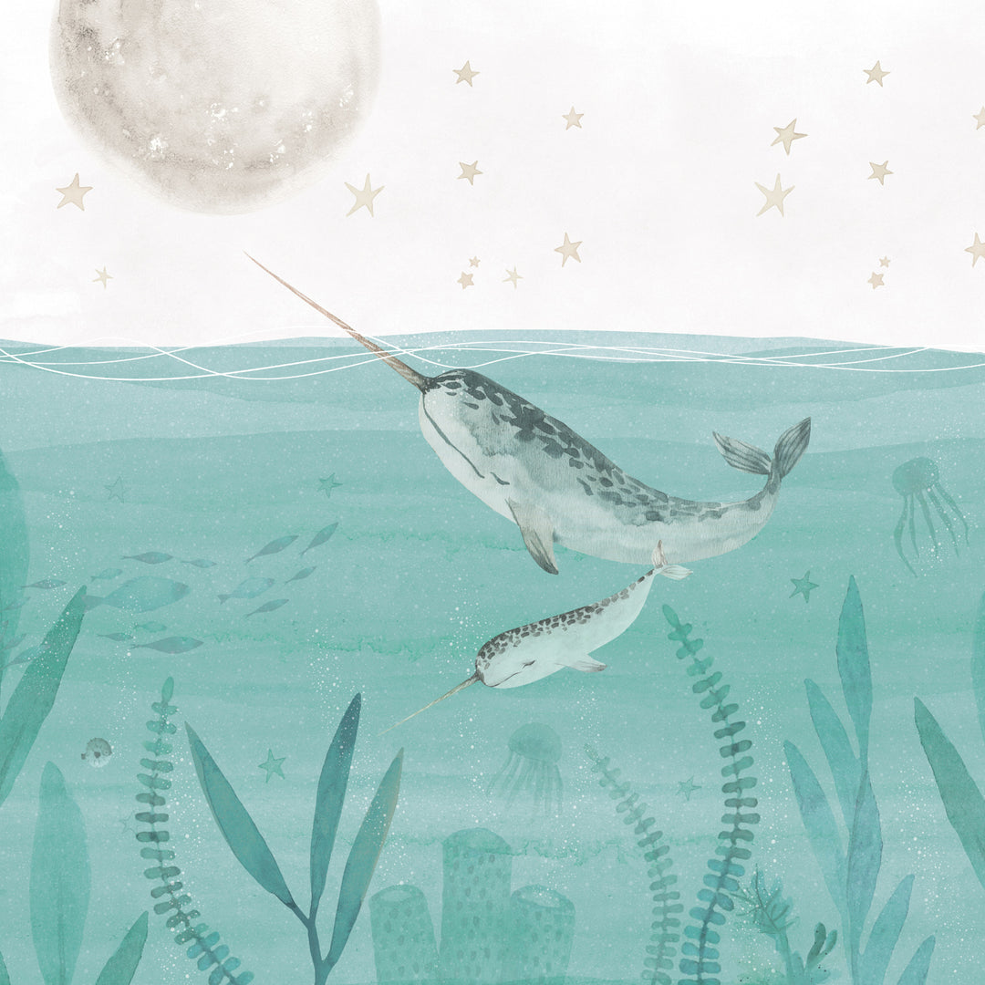 Little Narwhal