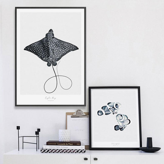 Marine Life Series - Eagle Ray