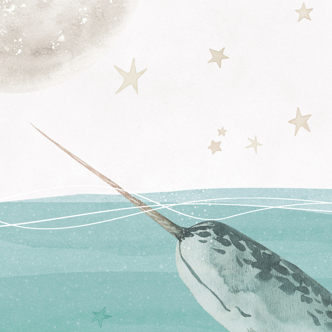 Little Narwhal