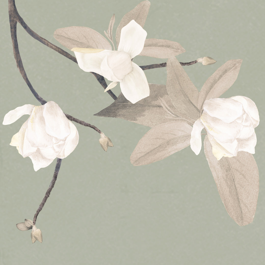 Magnolias on Antique Sage