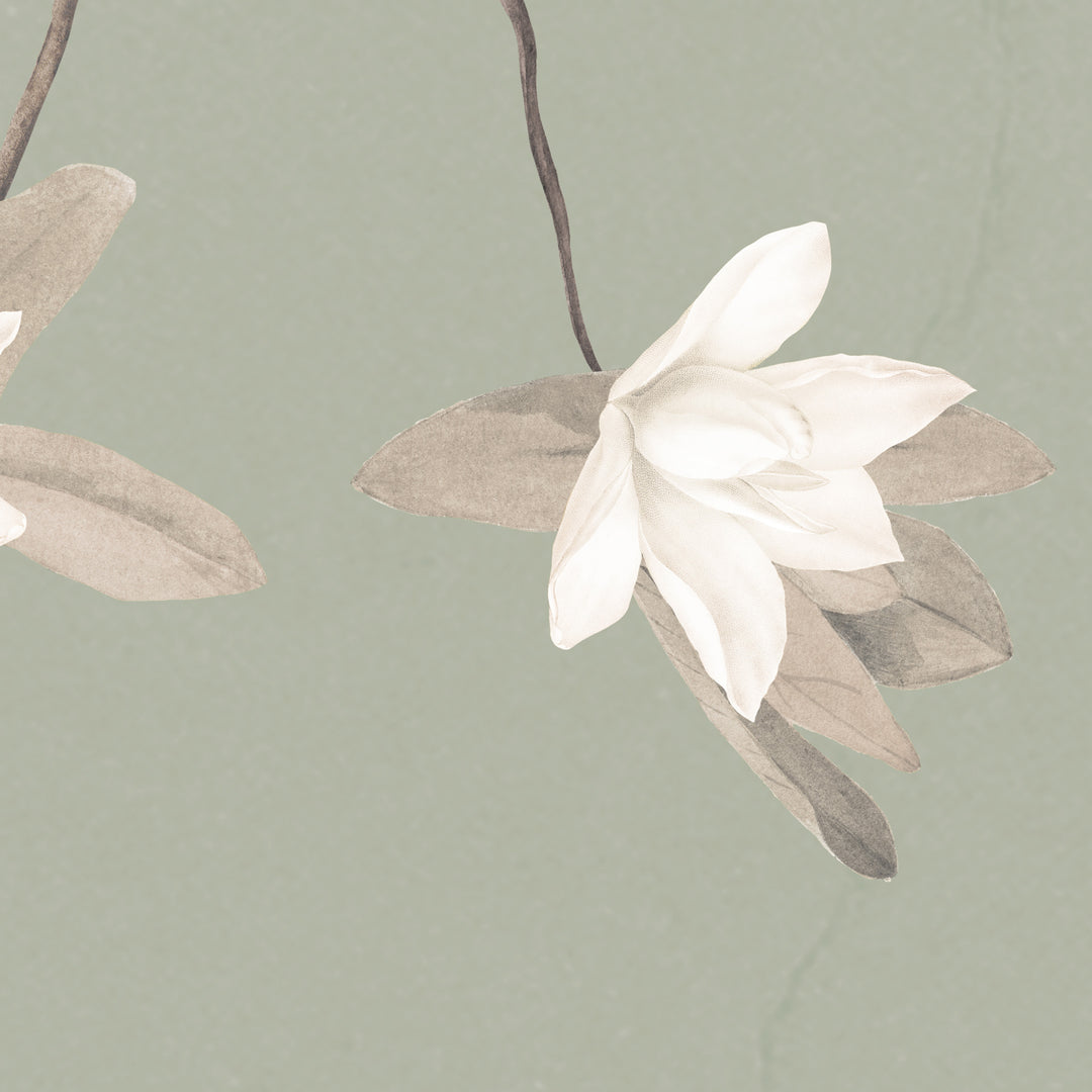 Magnolias on Antique Sage