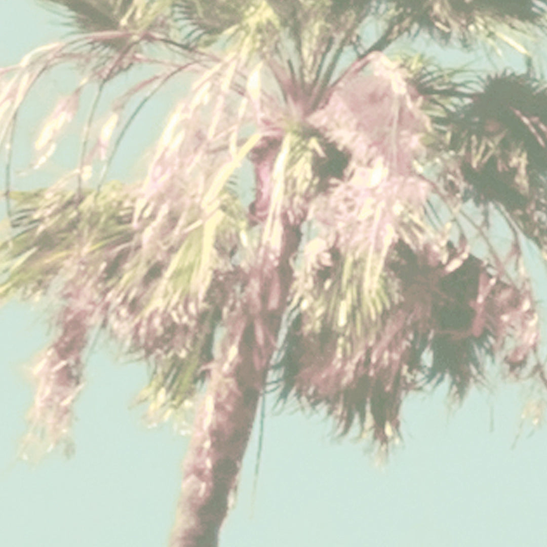 Pink Palms