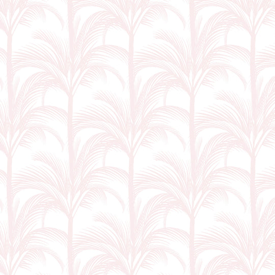 Palm Fans in Blush