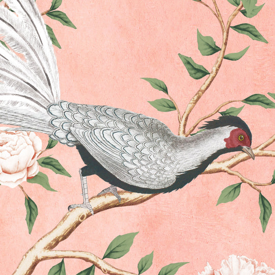 Silver Pheasant-Antique Rose