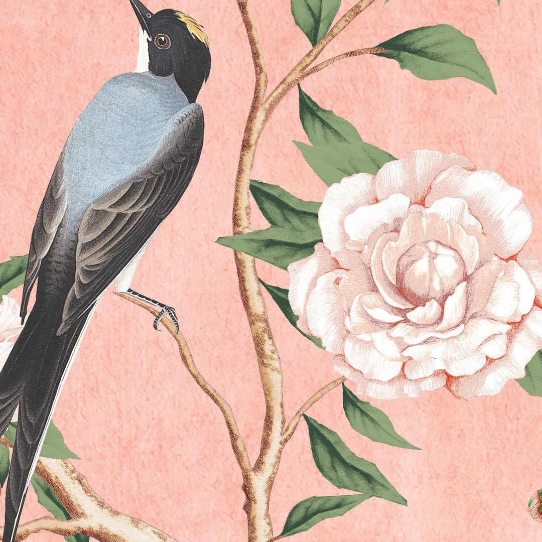 Silver Pheasant-Antique Rose