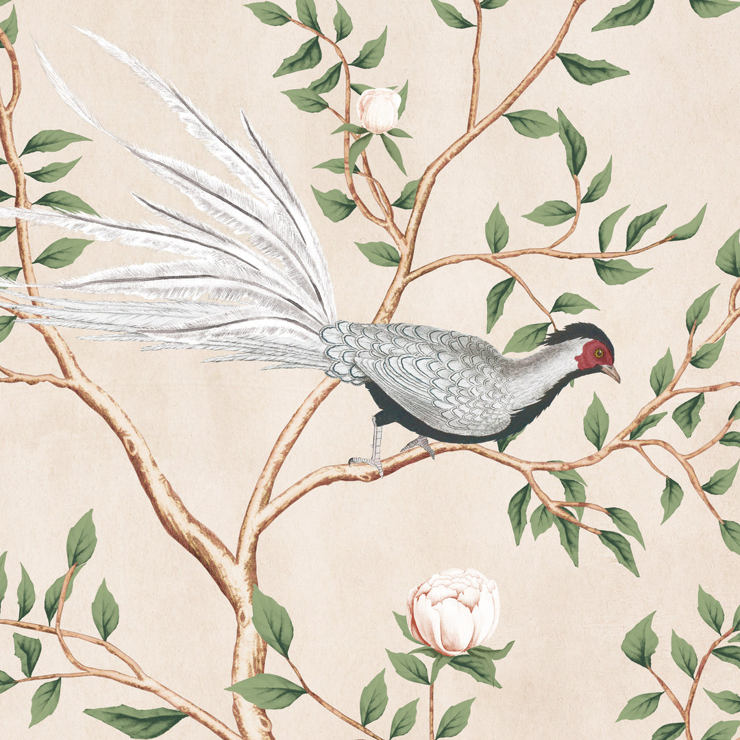 Silver Pheasant-Oriental Blush