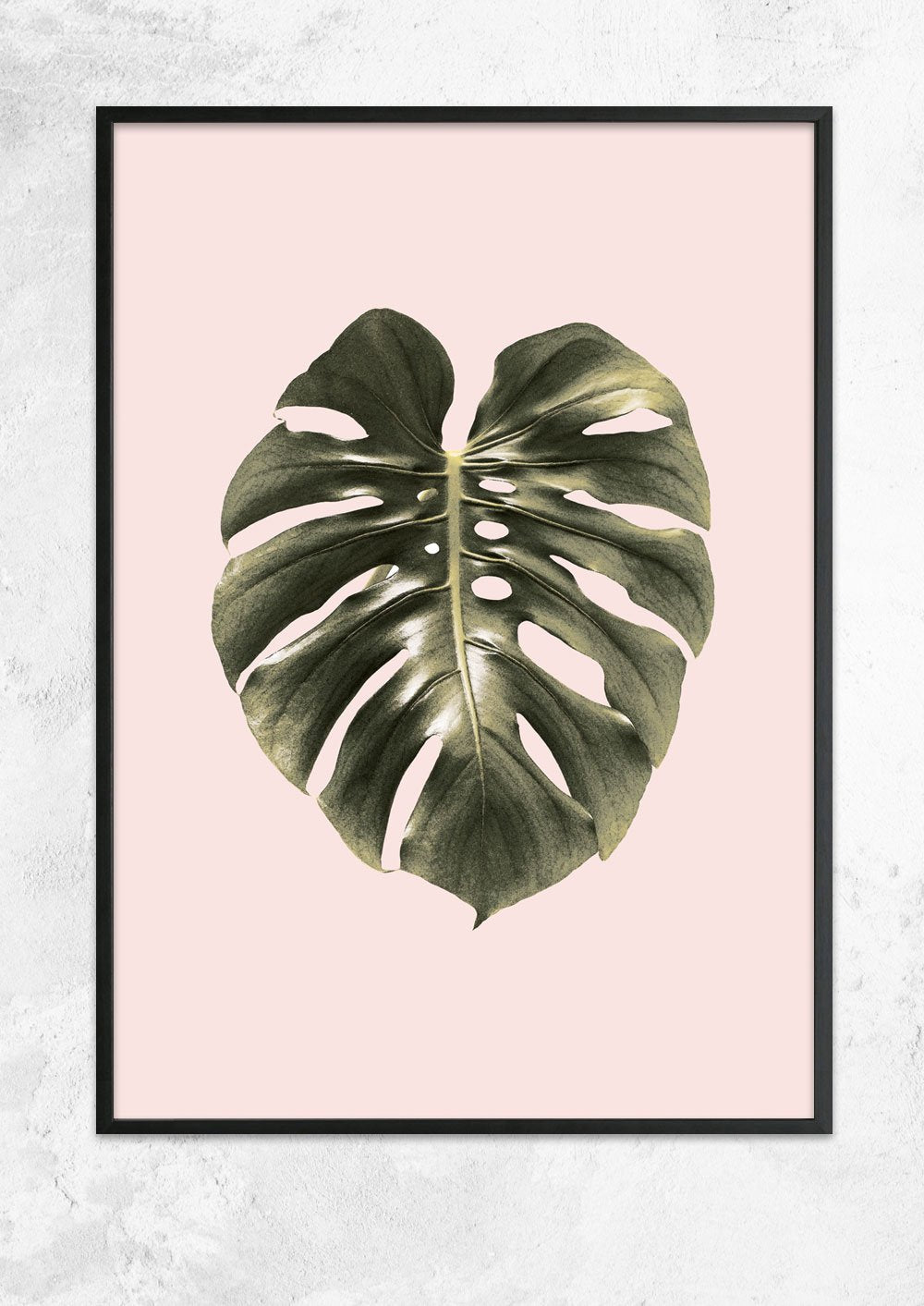 Monstera Leaf